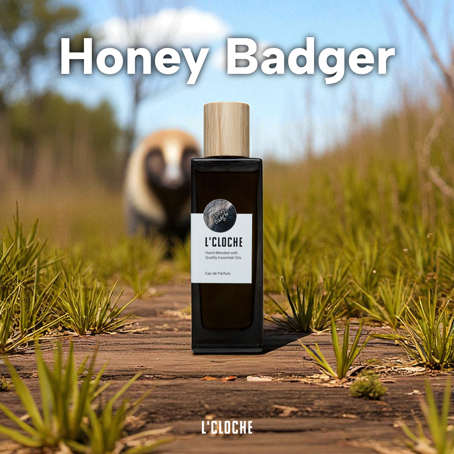 Honey Badger🦡WildLife Collection
