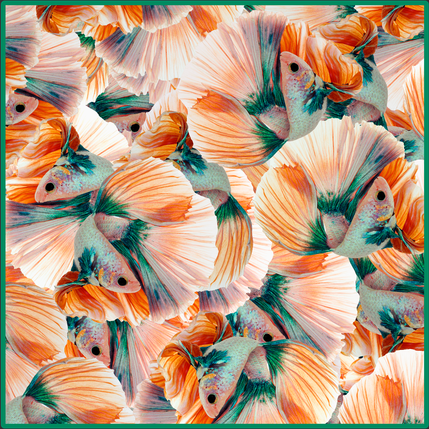 Orange Green Mix Halfmoon Betta Scarf - Orange