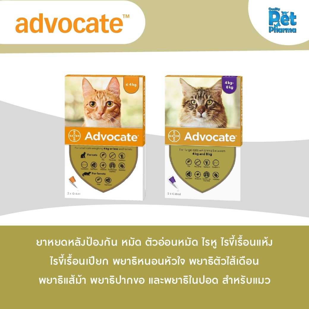 Advocate ยาหยดสำหรับแมว  ใช้สำหรับป้องกัน เห็บ หมัด ไร และพยาธิ