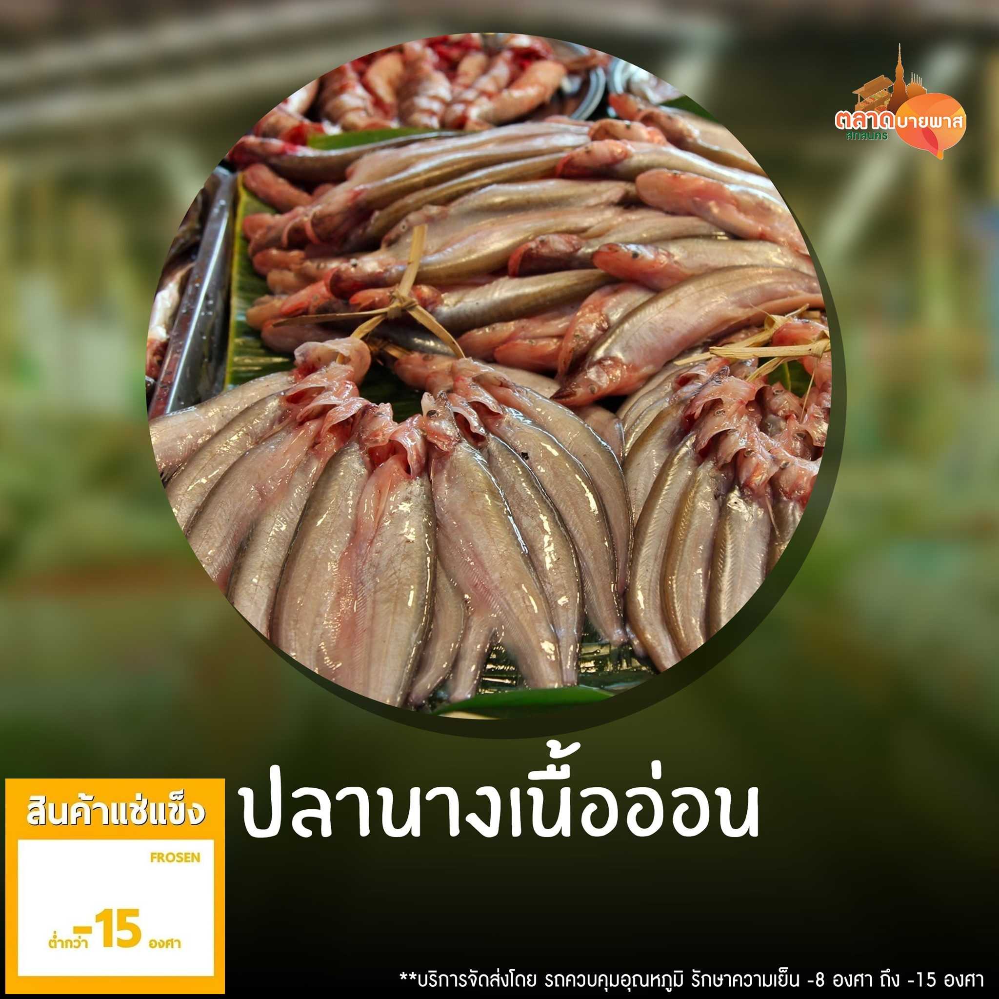 ปลานางเนื้ออ่อน 1 กก. [ส่งแช่แข็ง - 15 องศา]