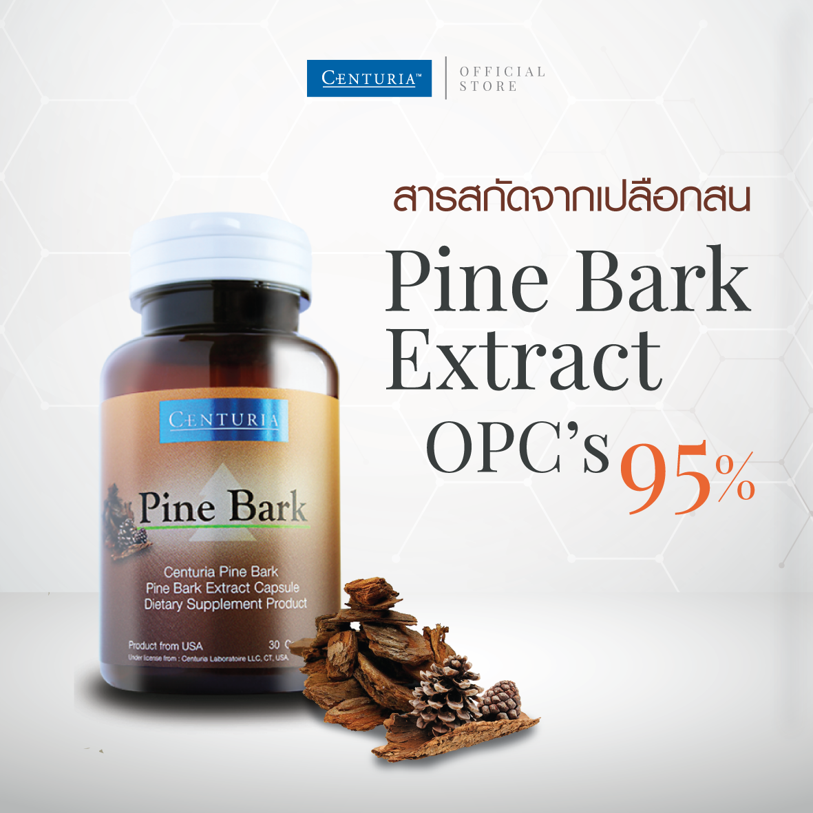 CENTURIA สารสกัดจากเปลือกสนมาริไทม์ ไพน์ บาร์ค 95% OPC’s  ( Pine bark Extract )