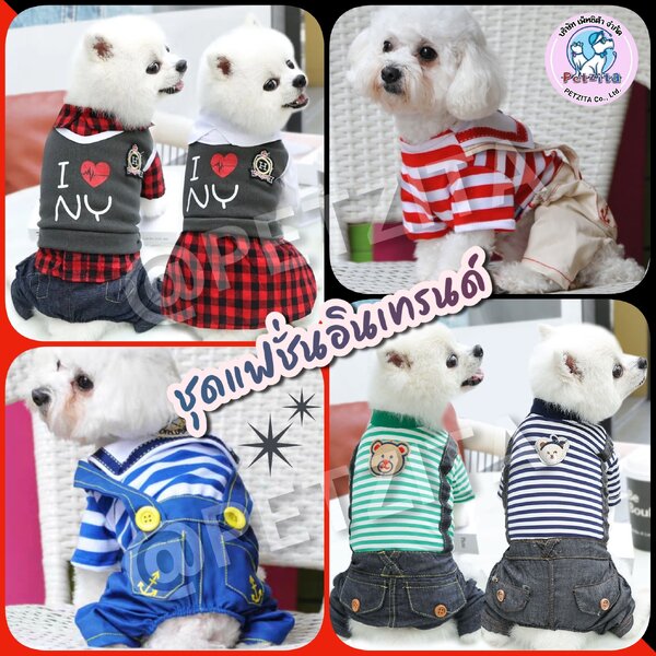 🇹🇭พร้อมส่ง🇹🇭 🥰🐶🐱 ชุดแฟชั่นอินเทรนด์สุดน่ารัก สำหรับสัตว์เลี้ยง เสื้อผ้าสุนัข เสื้อผ้าแมว