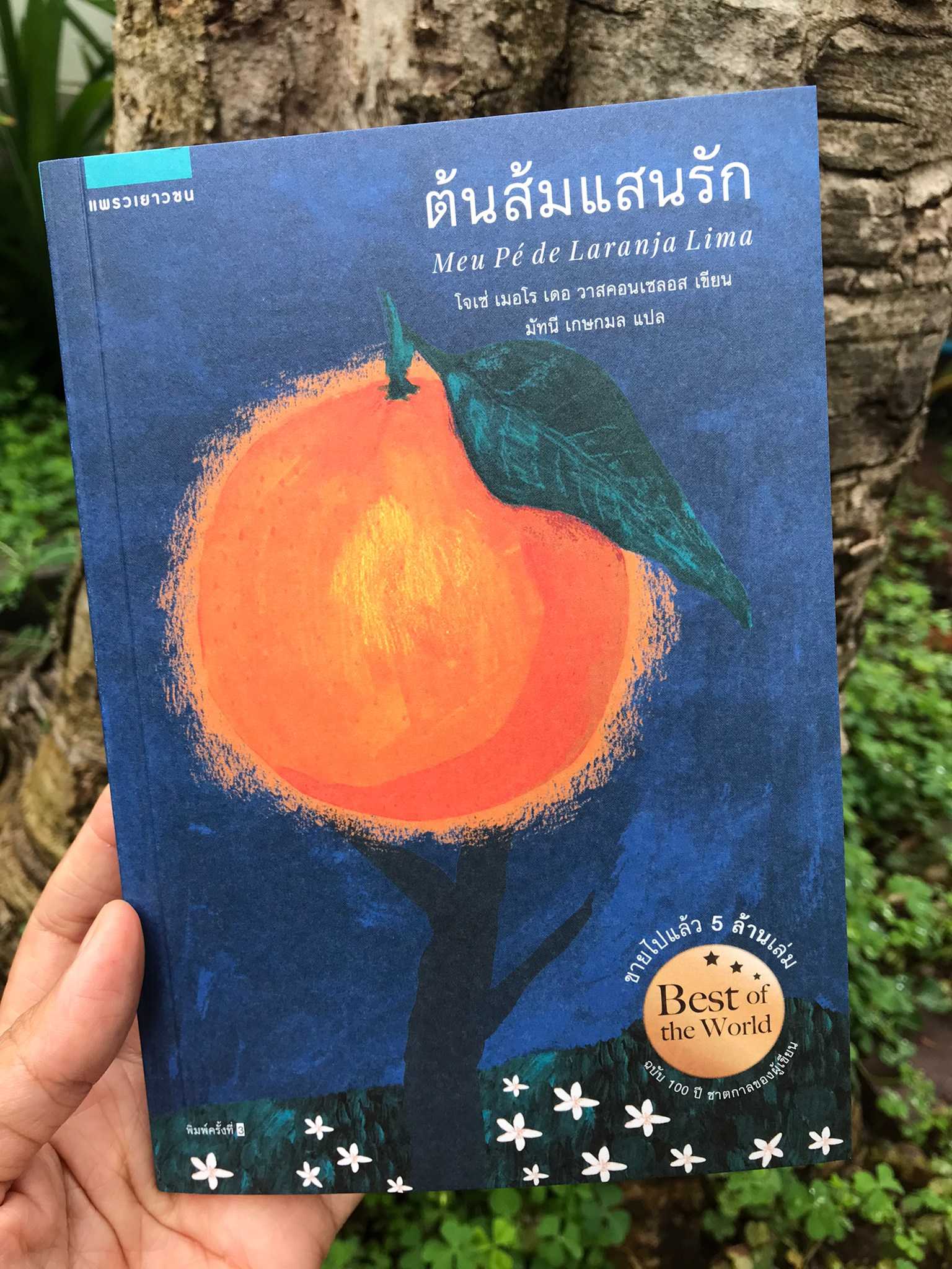 ต้นส้มแสนรัก 🍊