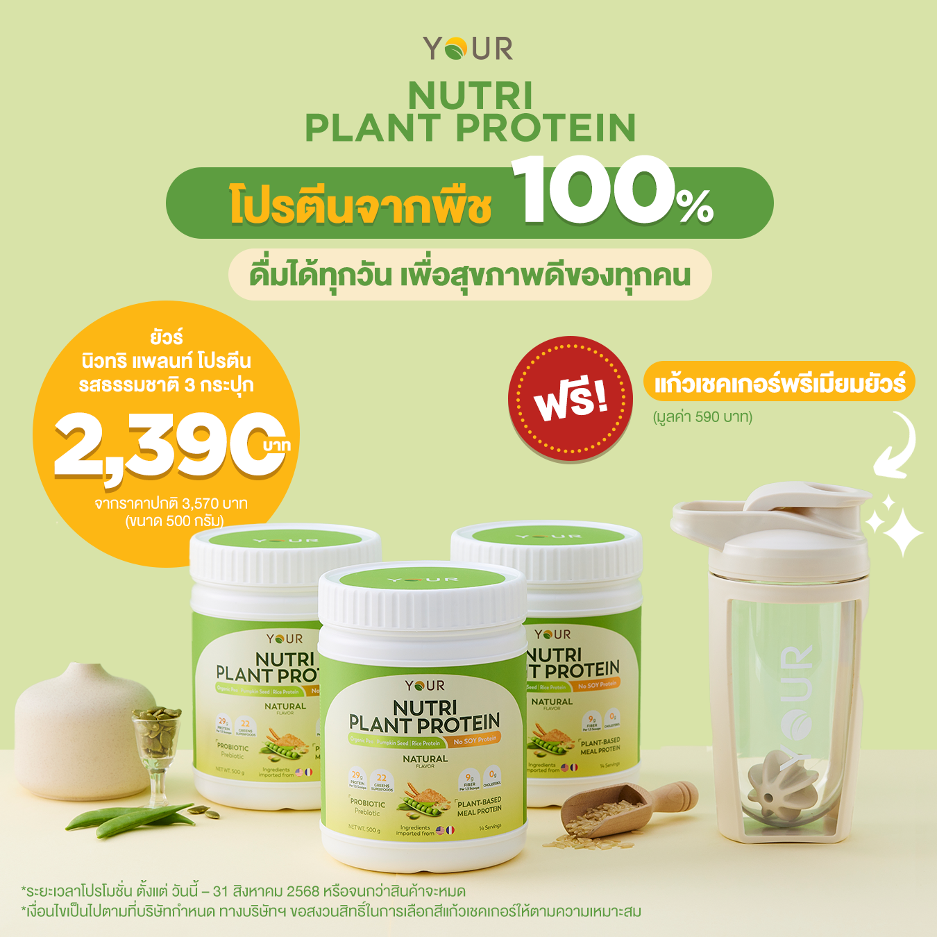 YOUR Nutri Plant Protein Natural Flavor (ยัวร์ นิวทริ แพลนท์ โปรตีน รสธรรมชาติ) แพ็กโปร 3 กระปุก