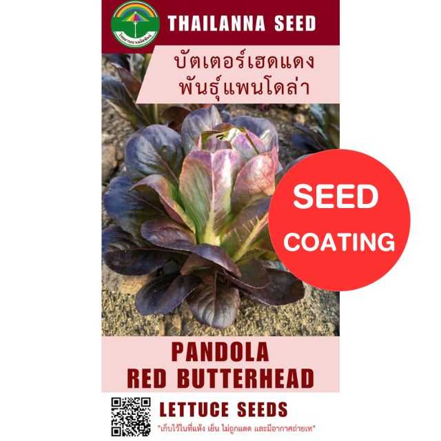 บัตเตอร์เฮดแดง พันธุ์แพนโดล่า ( ขนาด 0.25 กรัม ) ( เมล็ดเคลือบ ) รหัสสินค้า SC 1015