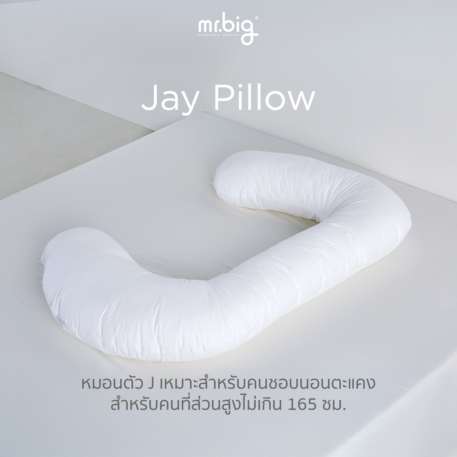 Jay Pillow