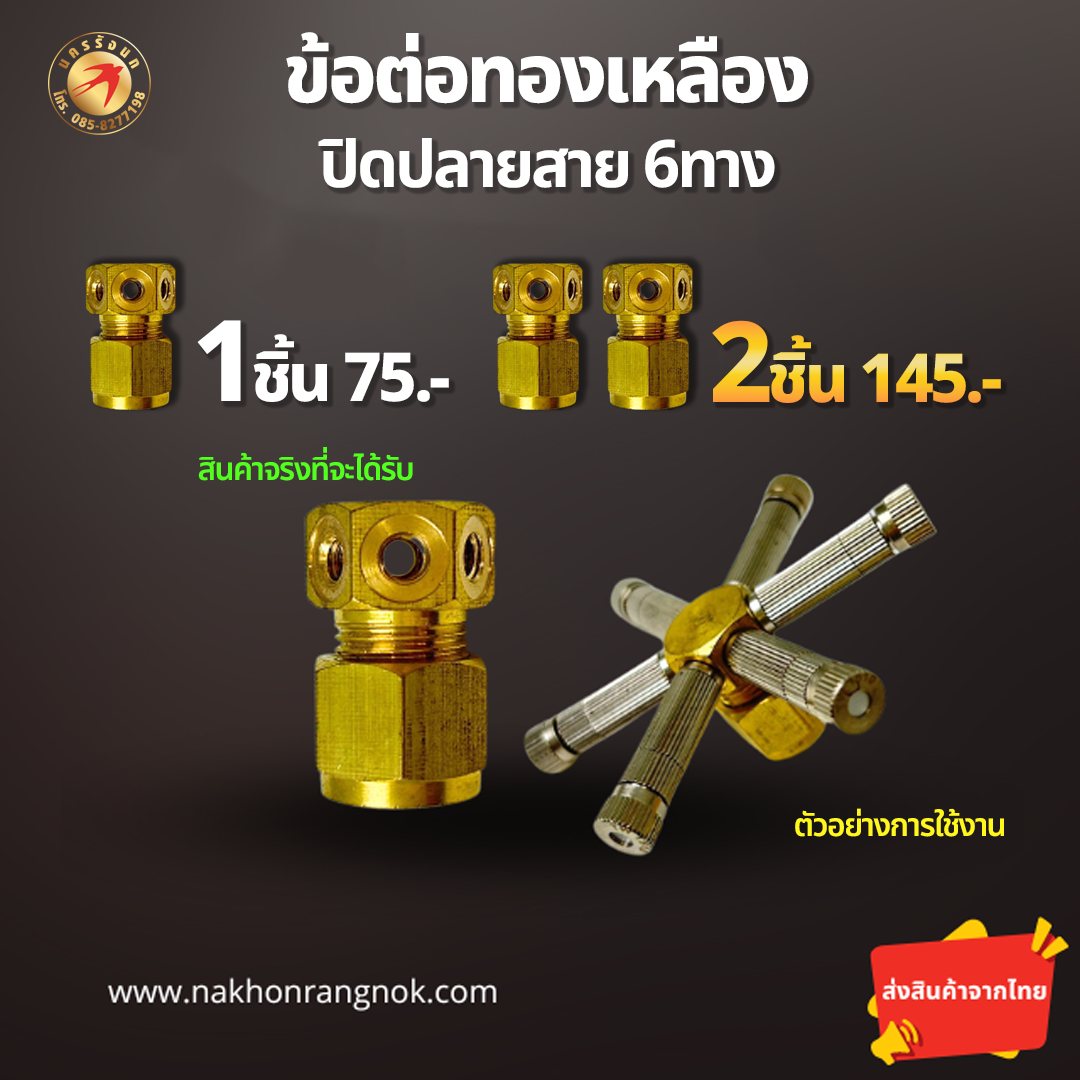 ปิดปลายสาย 6ทาง ทองเหลืองแท้  (สั่งซื้อ 2ชิ้น/145)