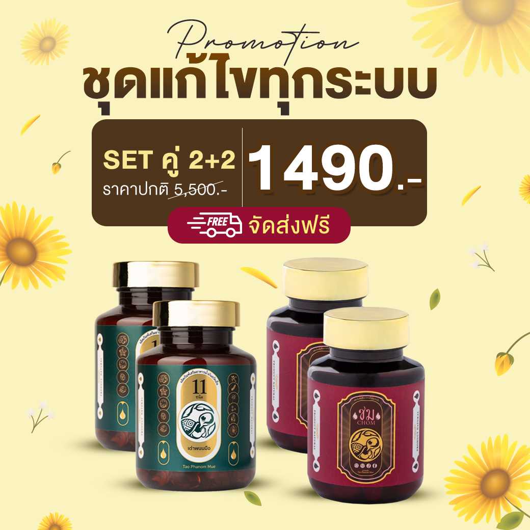 💢โปร4กระปุก💥 เต่า2+ชม2 💥ชุดแก้ไขทุกระบบ ราคา1,490บาท ✨ส่งฟรี✅