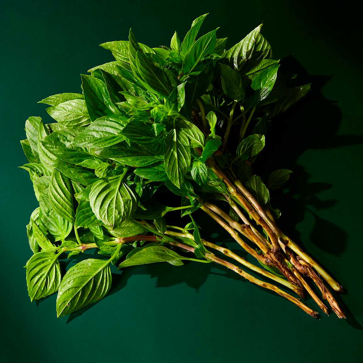 ใบโหระพา Thai Basil /100g.