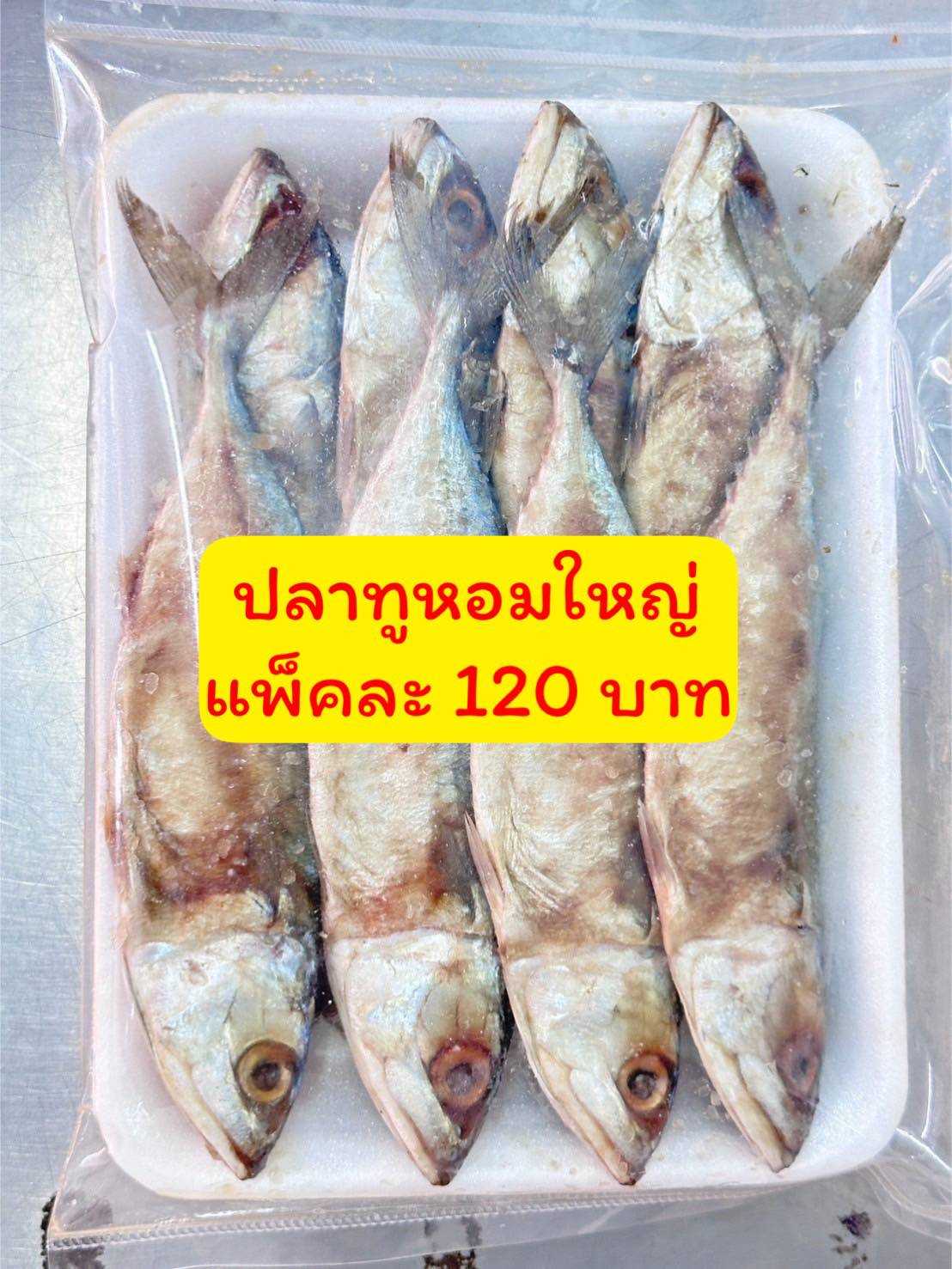 ปลาทูหอม 120