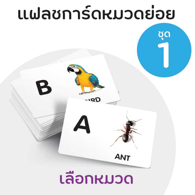 แฟลชการ์ดหมวดย่อย ชุดที่  1