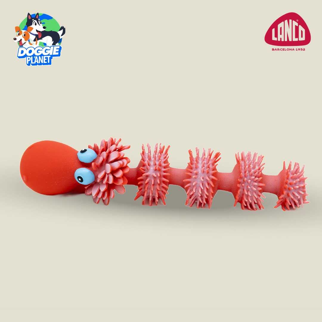 Lanco Worm ของเล่นสุนัข น้องหนอน สีแดง บีบมีเสียง (ยางธรรมชาติ ทนทาน)