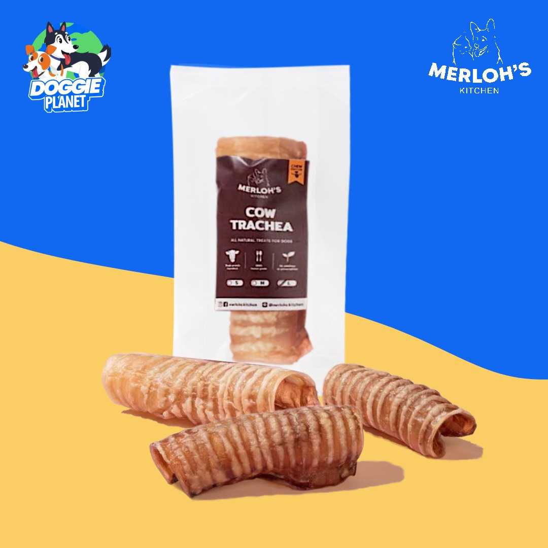 Merloh's Kitchen หลอดลมวัวอบแห้ง | ขนมสุนัขสำหรับแทะเล่น จากธรรมชาติ S / M / L