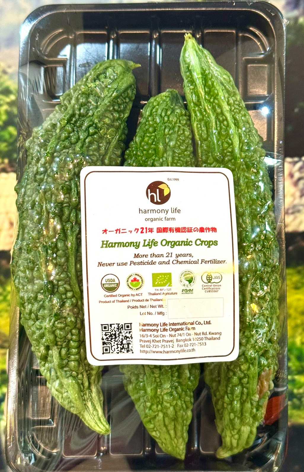 มะระไทยออร์แกนิค / ゴーヤ (Organic Bitter Gourd)
