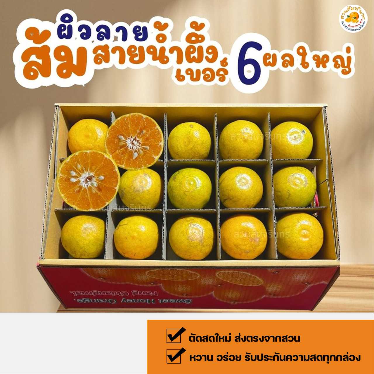 30 ลูก ส้มไซส์ใหญ่ เบอร์ 6 ส้มทานเล่น ผิวลาย หวานอร่อย ชานนุ่ม ตัดสดใหม่ บรรจุกล่องแยกช่อง 2 ชั้น