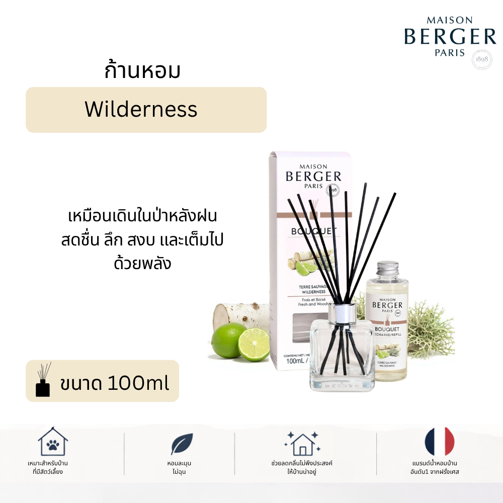 ก้านหอม Maison Berger Paris Cube Wilderness 100ml กลิ่นป่าเขียว สดชื่น หอมไม้ Diffuser  เท่ หรู
