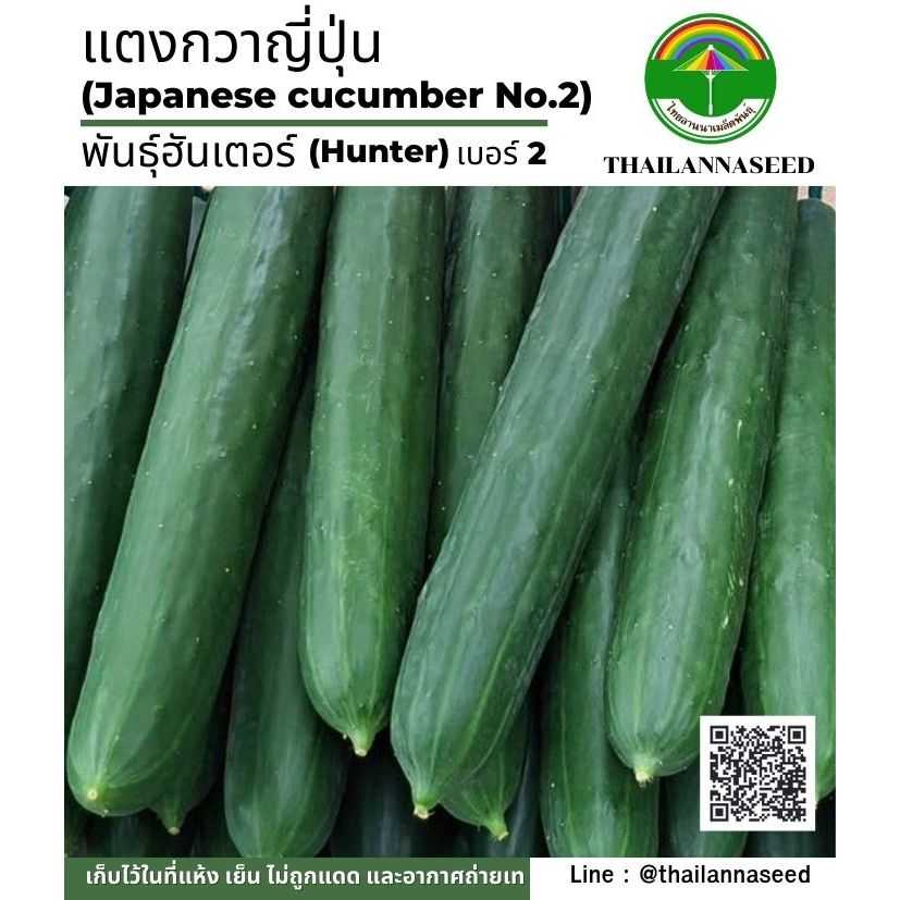 แตงกวาญี่ปุ่น พันธุ์ฮันเตอร์ เบอร์ 2  ( จำนวน 10 เมล็ด ) รหัสสินค้า ( 4050 )