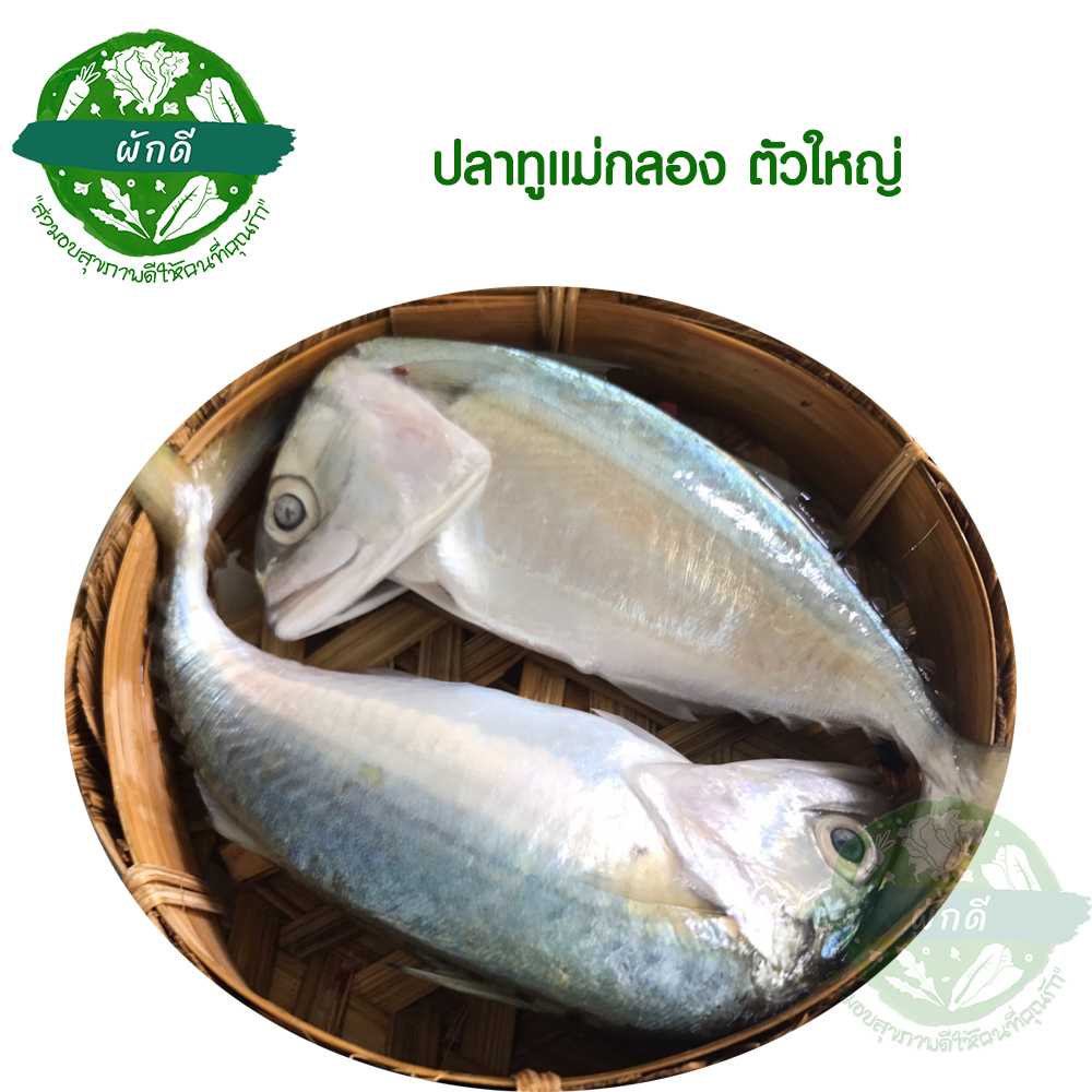 ปลาทูแม่กลอง ตัวใหญ่ 2 ตัว 350 กรัม