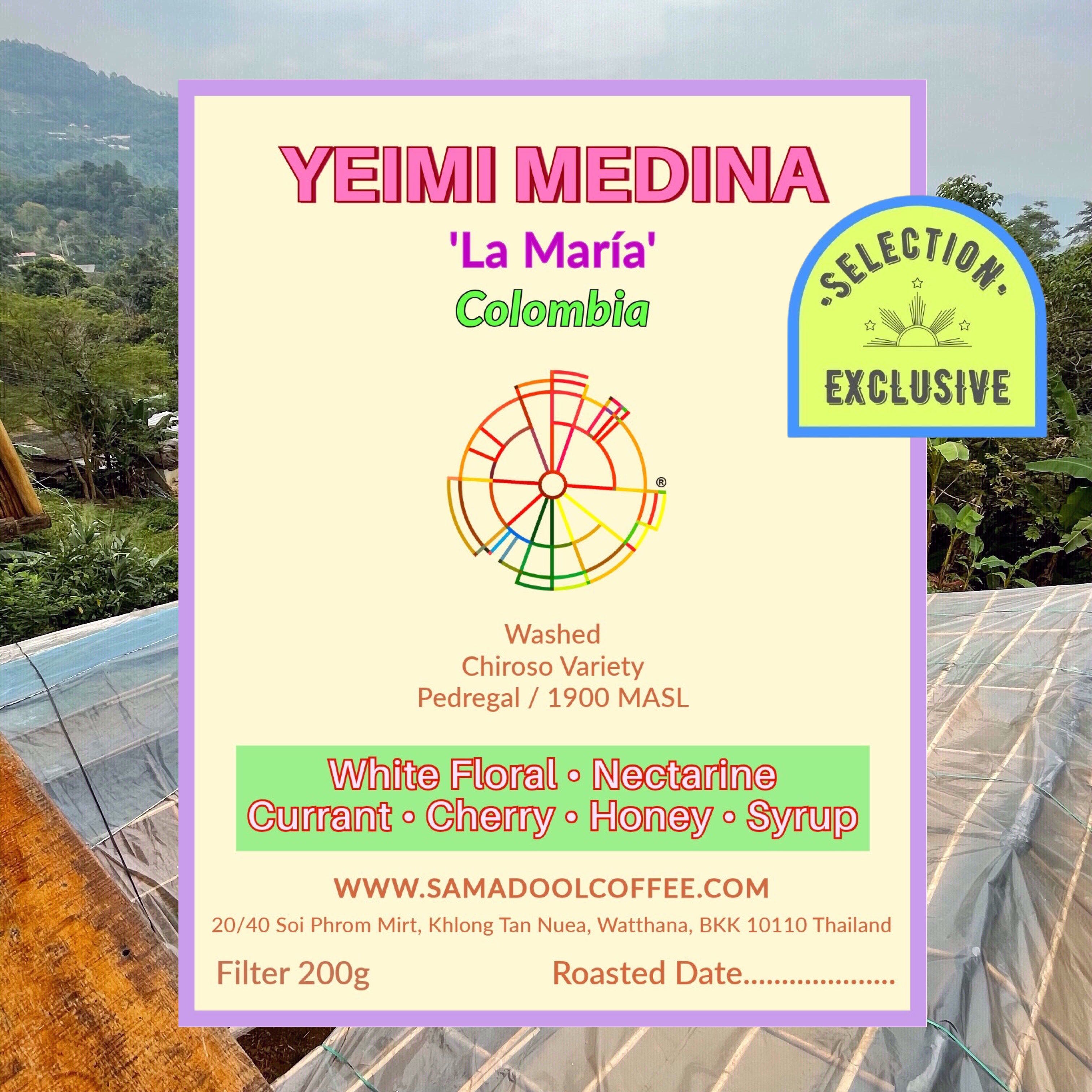 Yeimi Medina ( Filter Roasted )