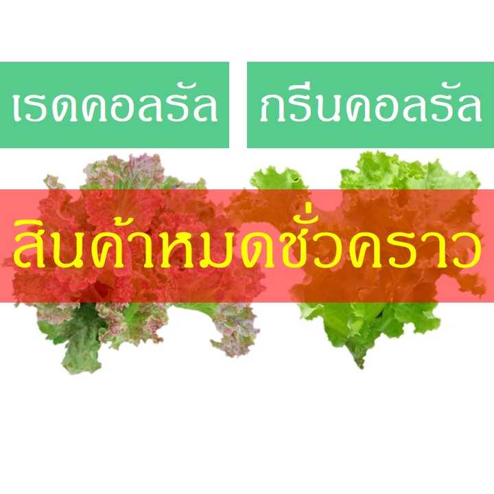เรดคอลรัล-กรีนคอลรัล (200 กรัม)