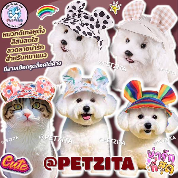 🇹🇭พร้อมส่ง🇹🇭 🧢 หมวกสัตว์เลี้ยง ดีเทลหูตั้ง 🐰🐹🐻 น่ารักมากจ้า หมวกหมา สุนัข แมว