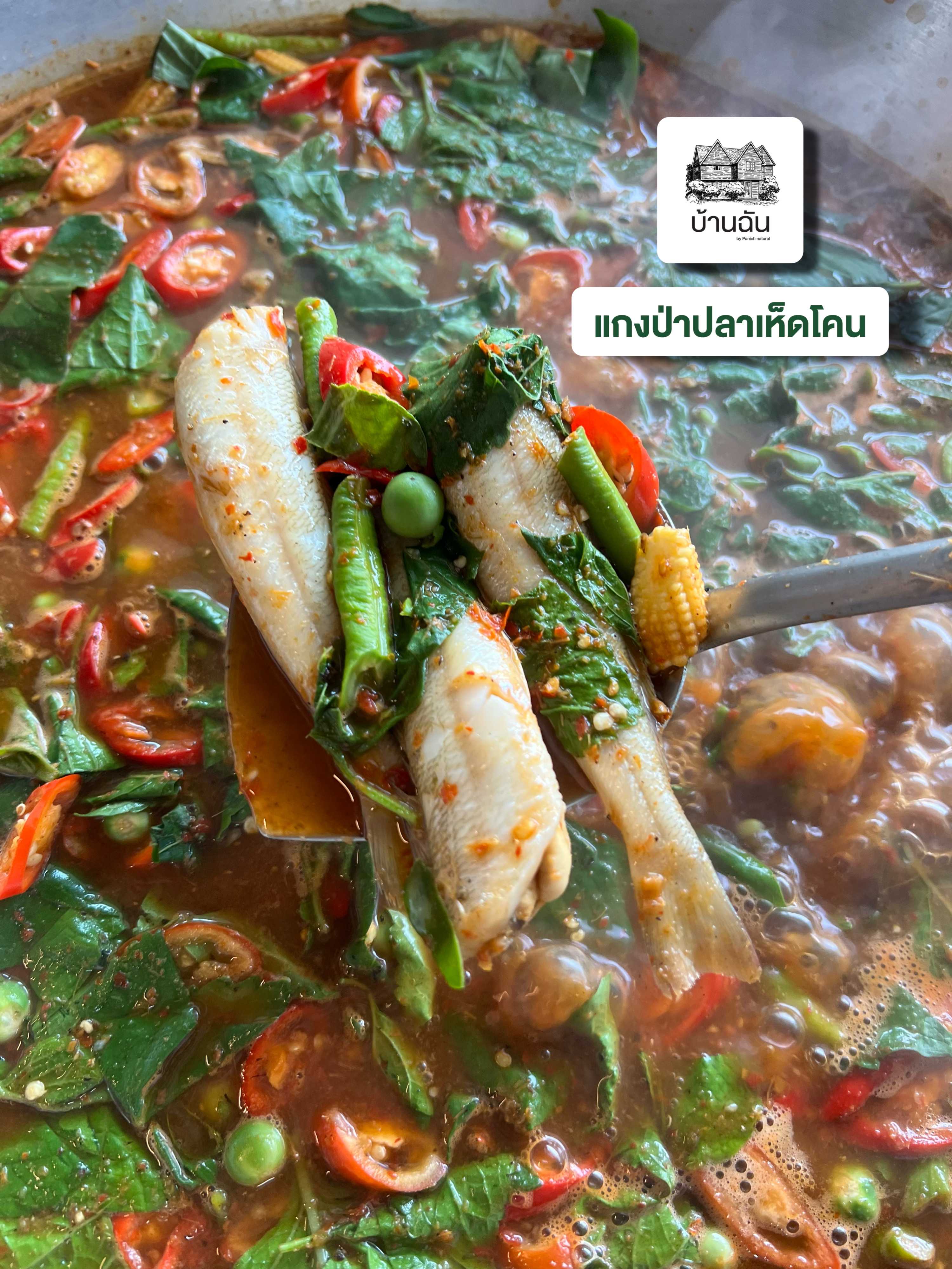 แกงป่า ปลาเห็ดโคน ไม่น้ำมัน