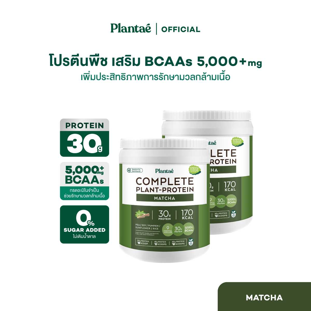 (ส่งฟรี) Plantae Complete Plant Protein รส Matcha 2 กระปุก : มัทฉะ ชาเขียว โปรตีนพืช สร้างกล้ามเนื้อ