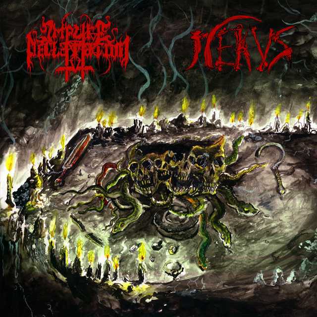 IMPURE DECLARATION / NEKUS 'Malevolence Evocations' CD