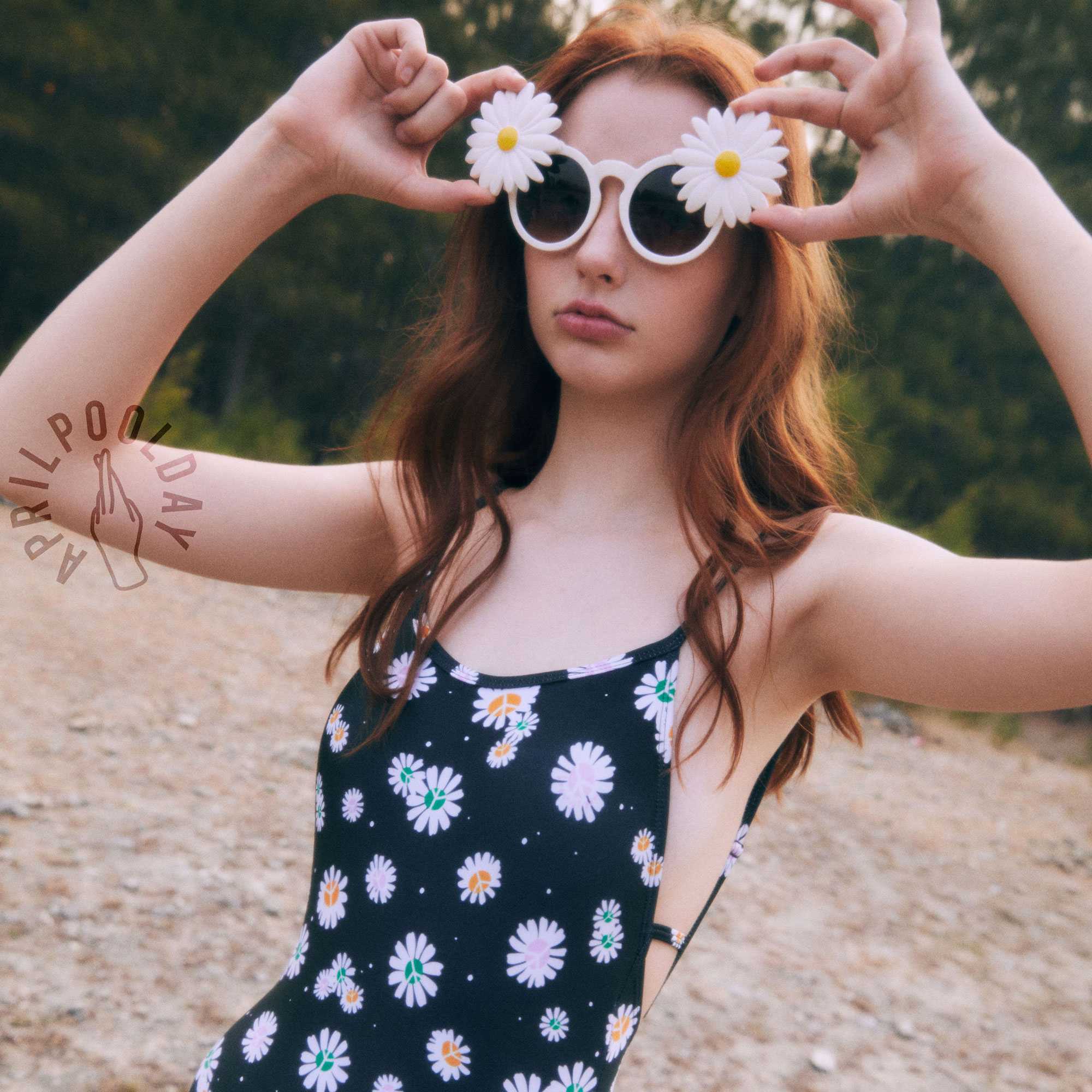 DAISIES FIELD