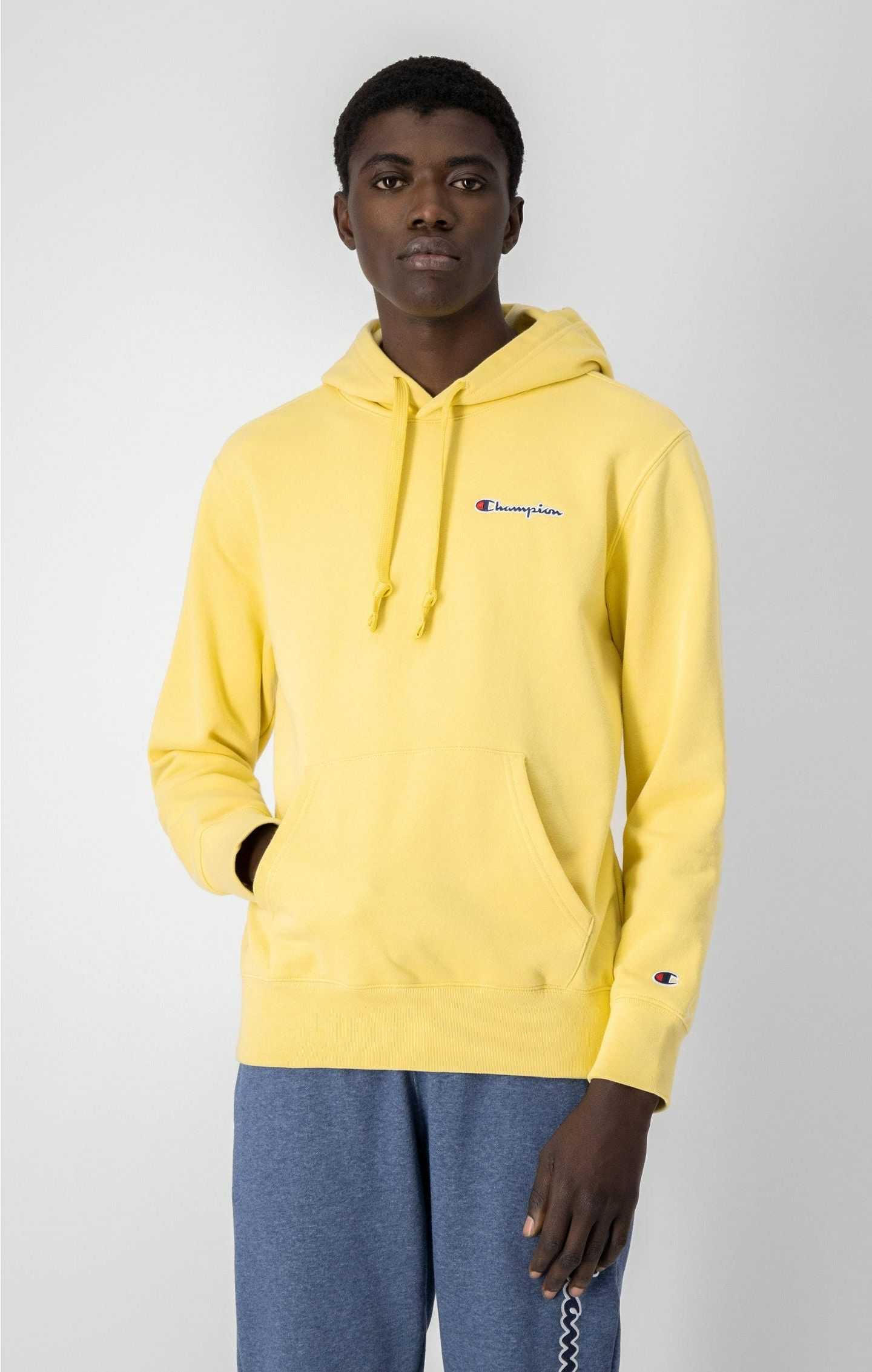 CHAMPION ROCHESTER 1919SMALL SCRIPT LOGO EMBROIDERY FLEECE HOODIE