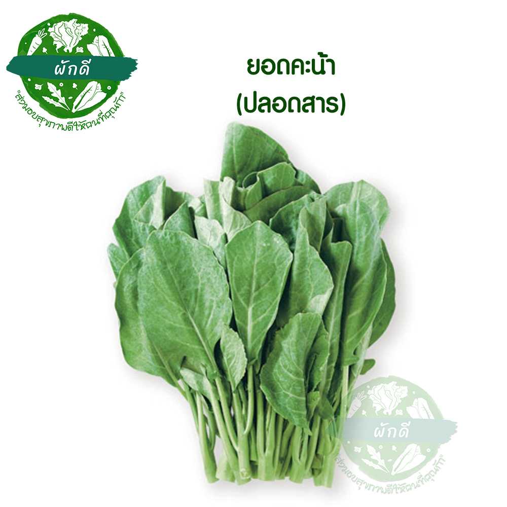 ยอดคะน้า ปลอดสาร 200 กรัม
