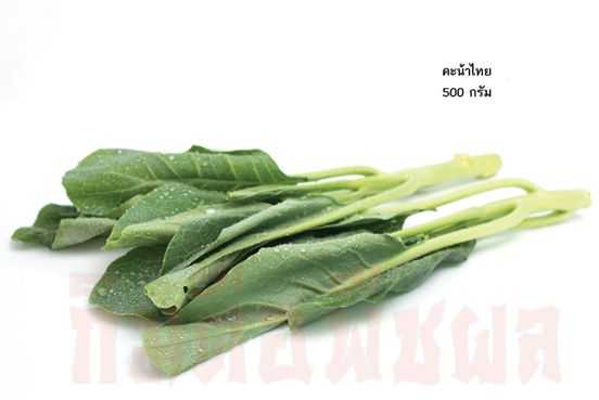 คะน้าไทย( Kale)