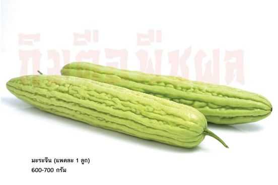 มะระจีน(Chinese bitter gourd)