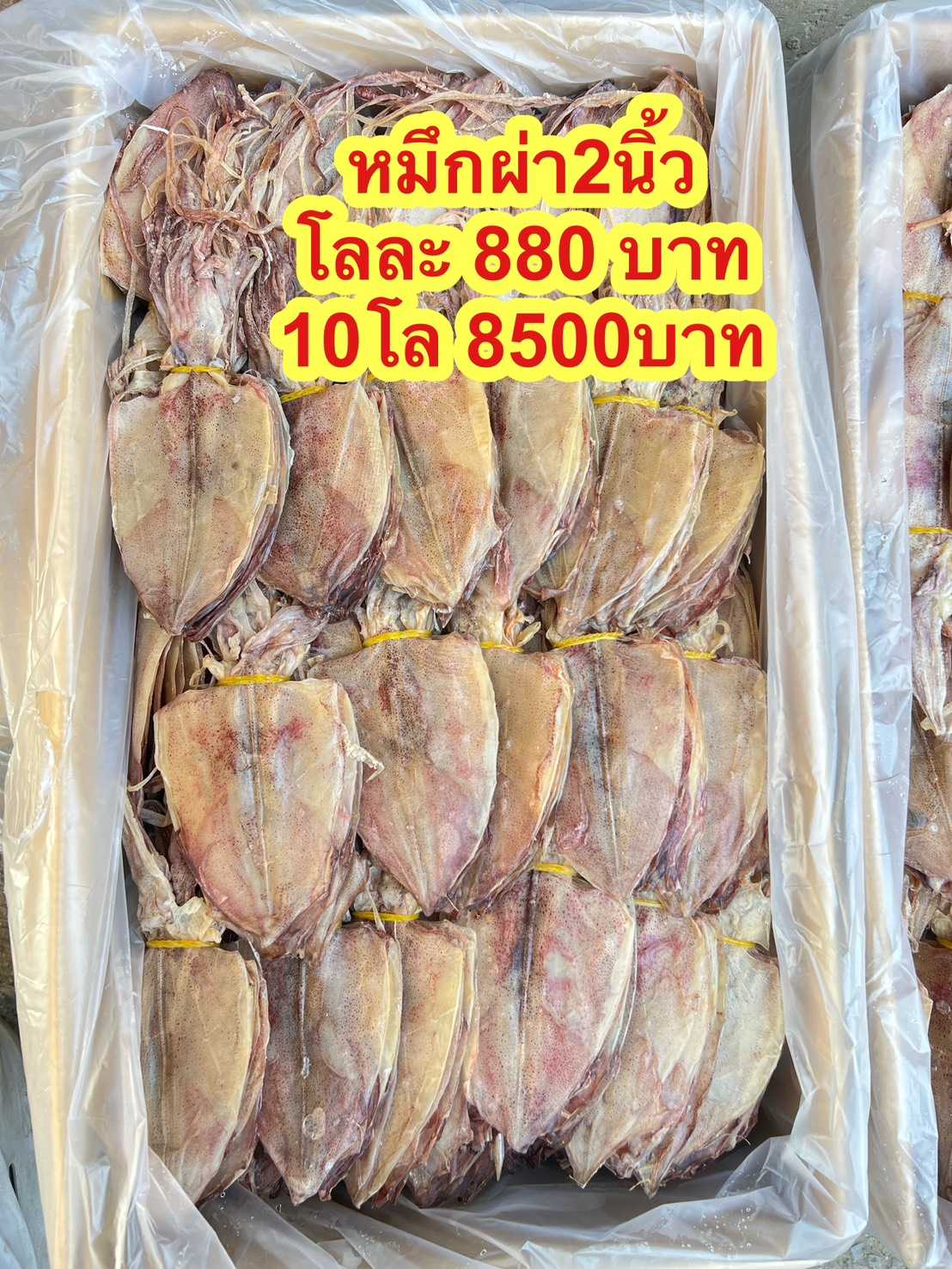 หมึกผ่า2นิ้ว ขนาด500กรัม