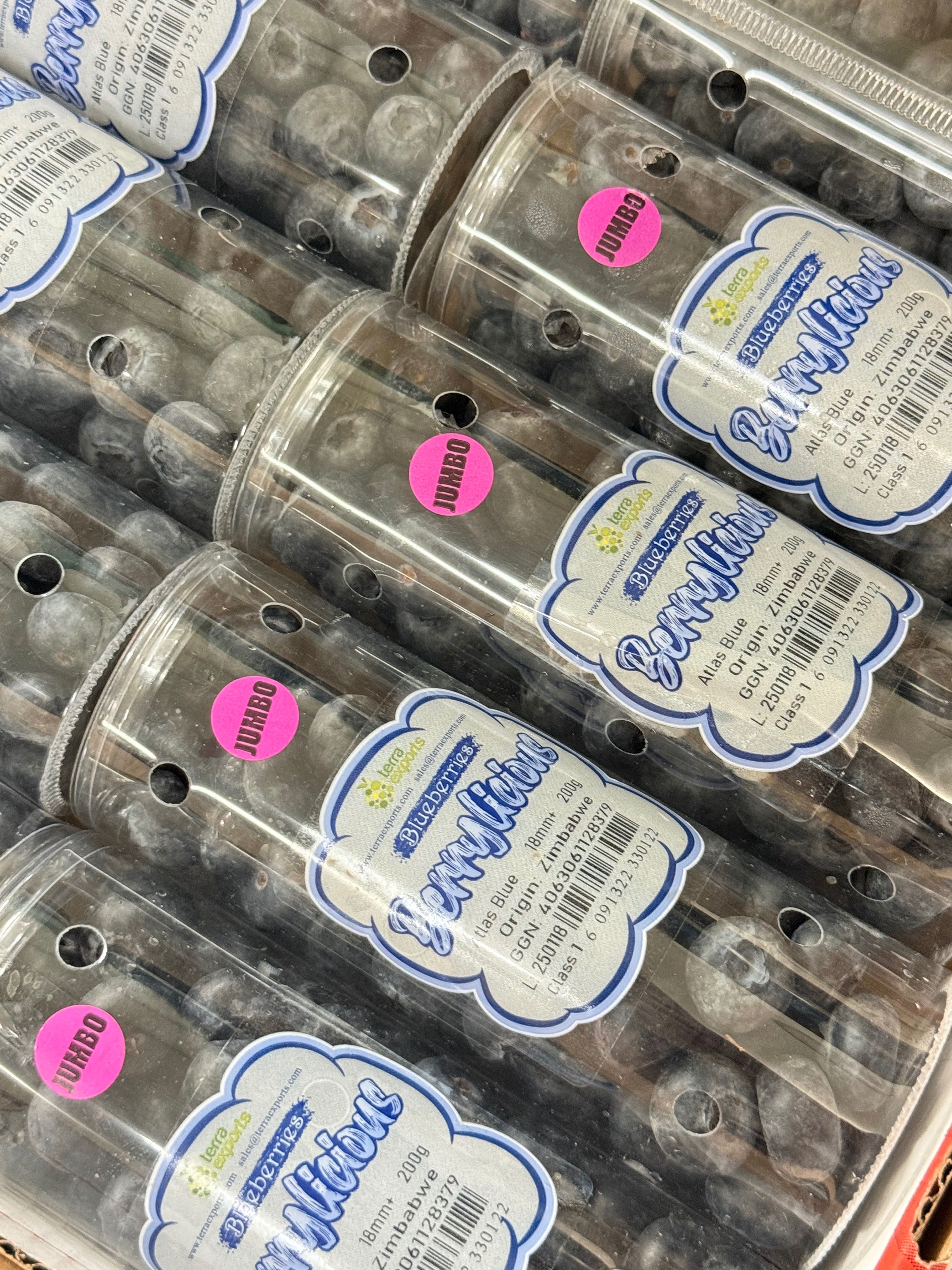 บลูเบอร์รี่ แบบหลอด 200 g.( Jumbo Blueberry )