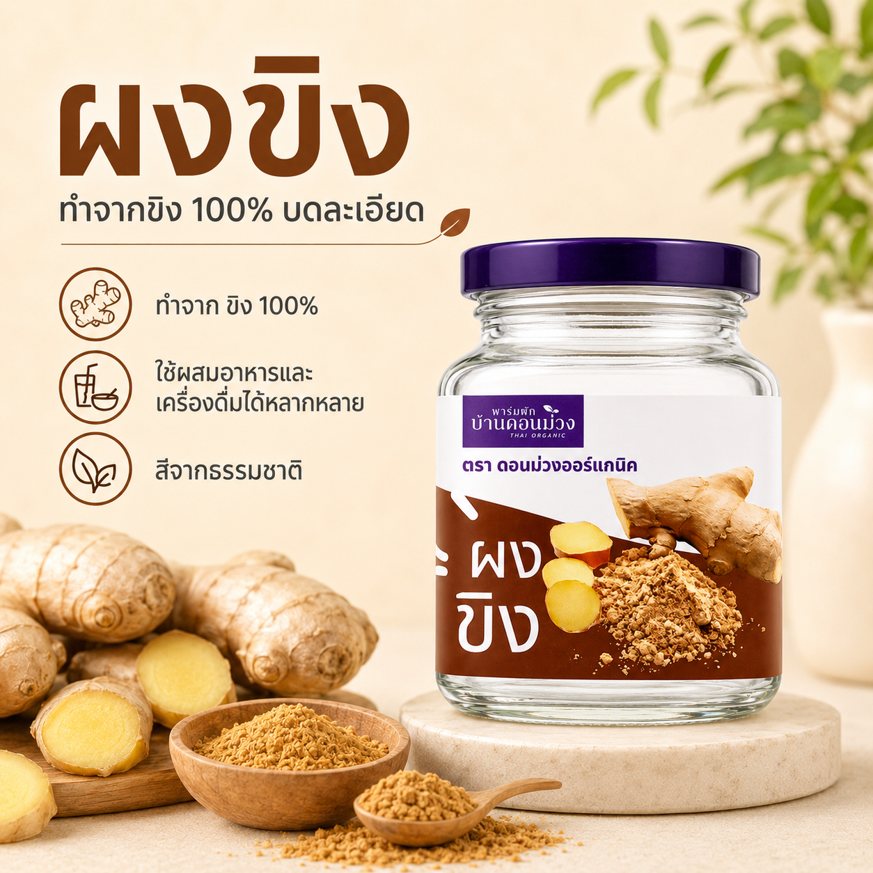 ผงขิง ตราดอนม่วงออร์แกนิก(Ginger powder Organic Don Muang Brand)