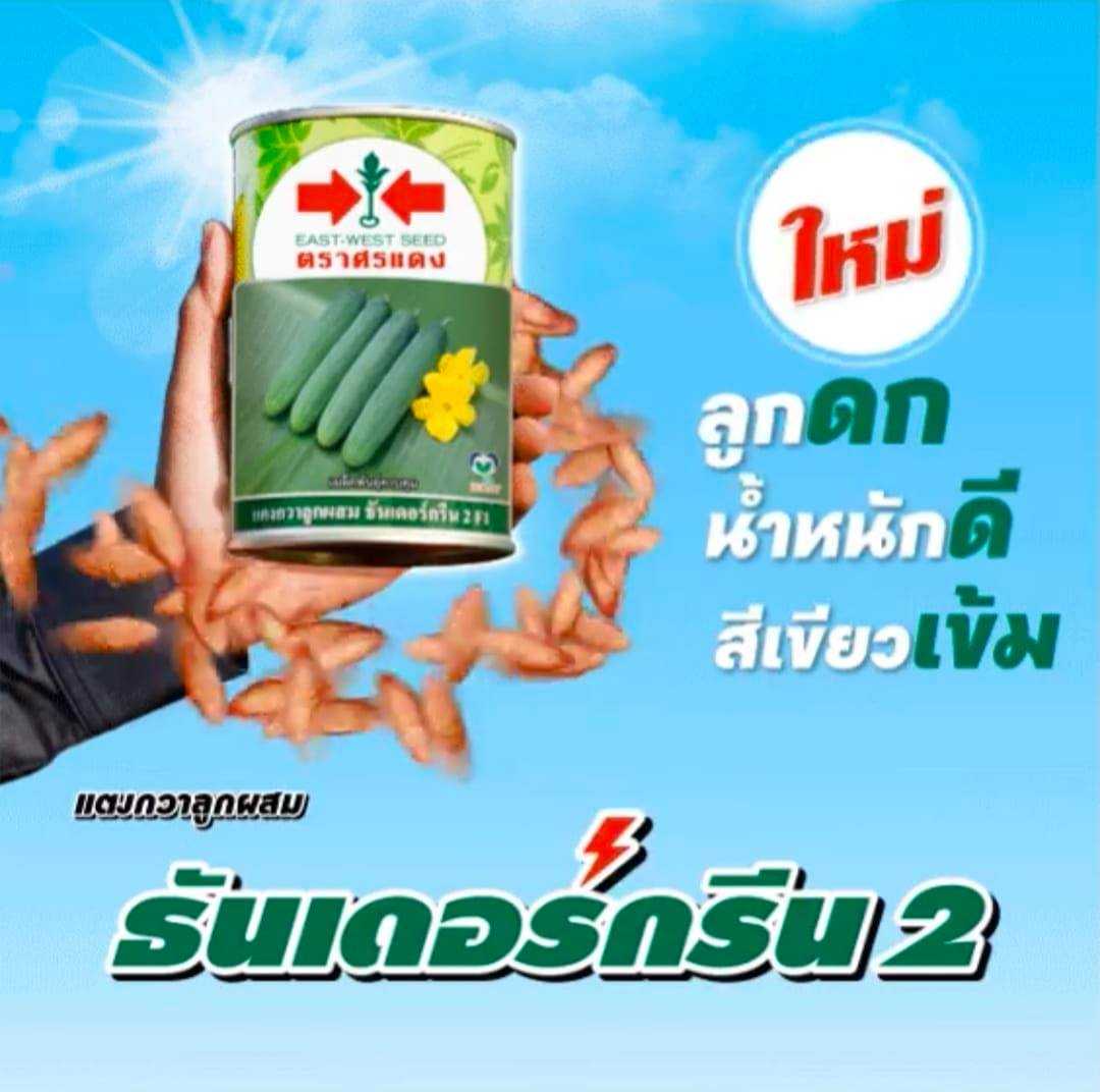 แตงกวาธันเดอร์กรีน 2   #เมล็ดพันธุ์