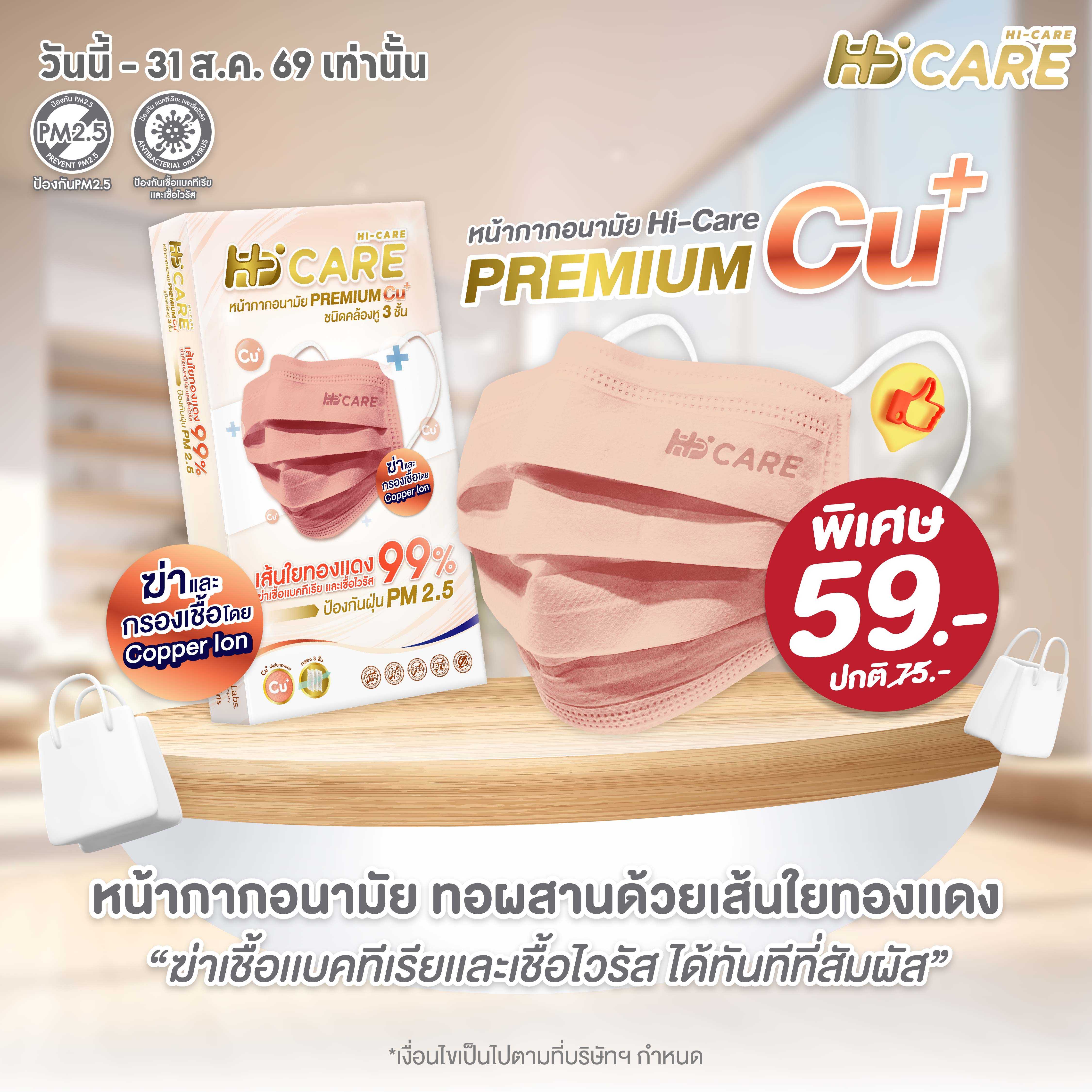 Hi-Care Premium Copper Ion  แผ่นกรอง 3 ชั้น ชนิดคล้องหู  10 ชิ้น