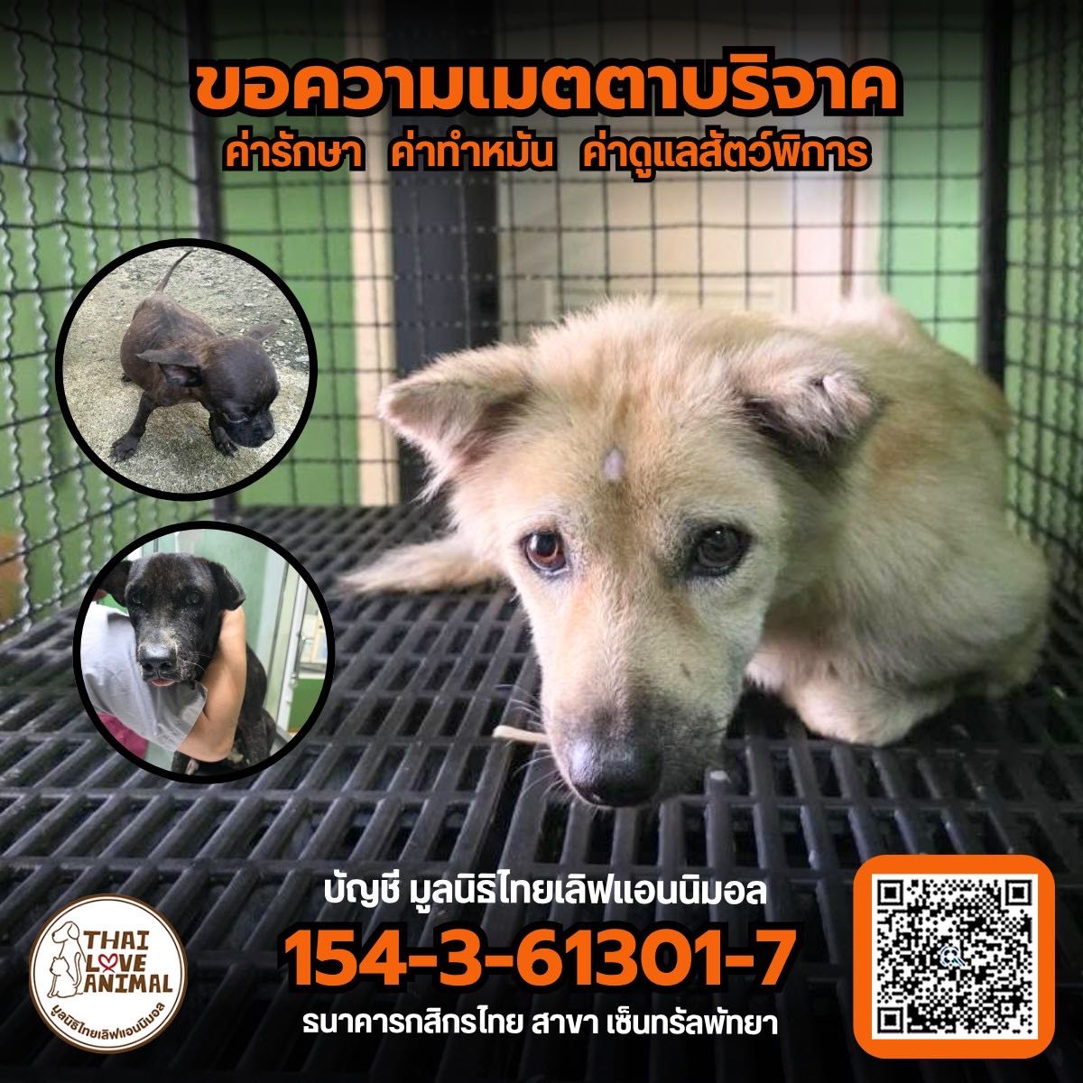 ขอรับบริจาคค่ารักษาเพื่อช่วยเหลือสัตว์ เจ็บป่วย