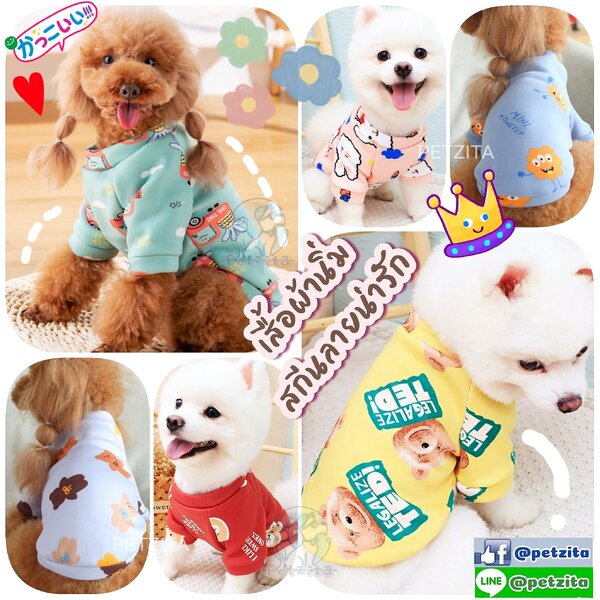 🇹🇭พร้อมส่ง🇹🇭 🐻🐻🐻 เสื้อผ้านิ่มลายน่ารัก for pet เสื้อสุนัข หมา ชุดแมว