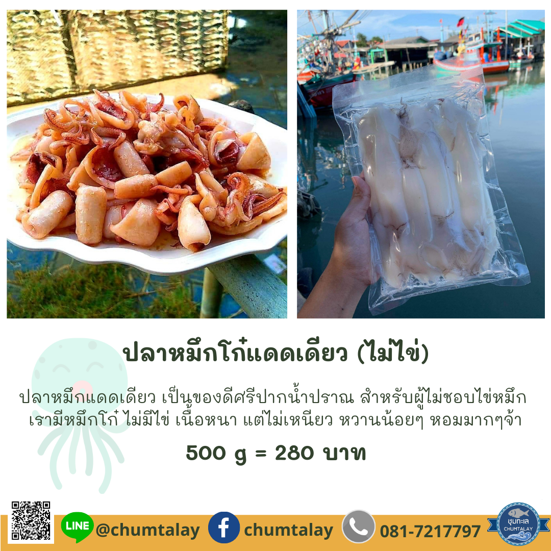 ปลาหมึกโก๋แดดเดียว (ไม่ไข่)