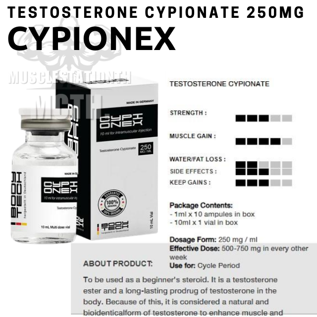 Test C (Test Depot) Bodytech (250mg×10ml)