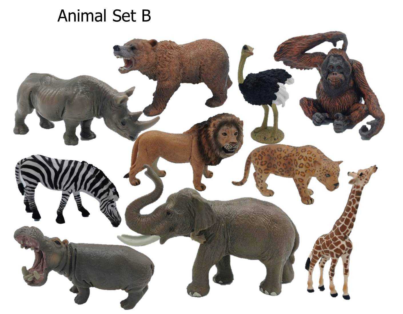 โมเดลสัตว์ เป็นเซต หลายหมวด