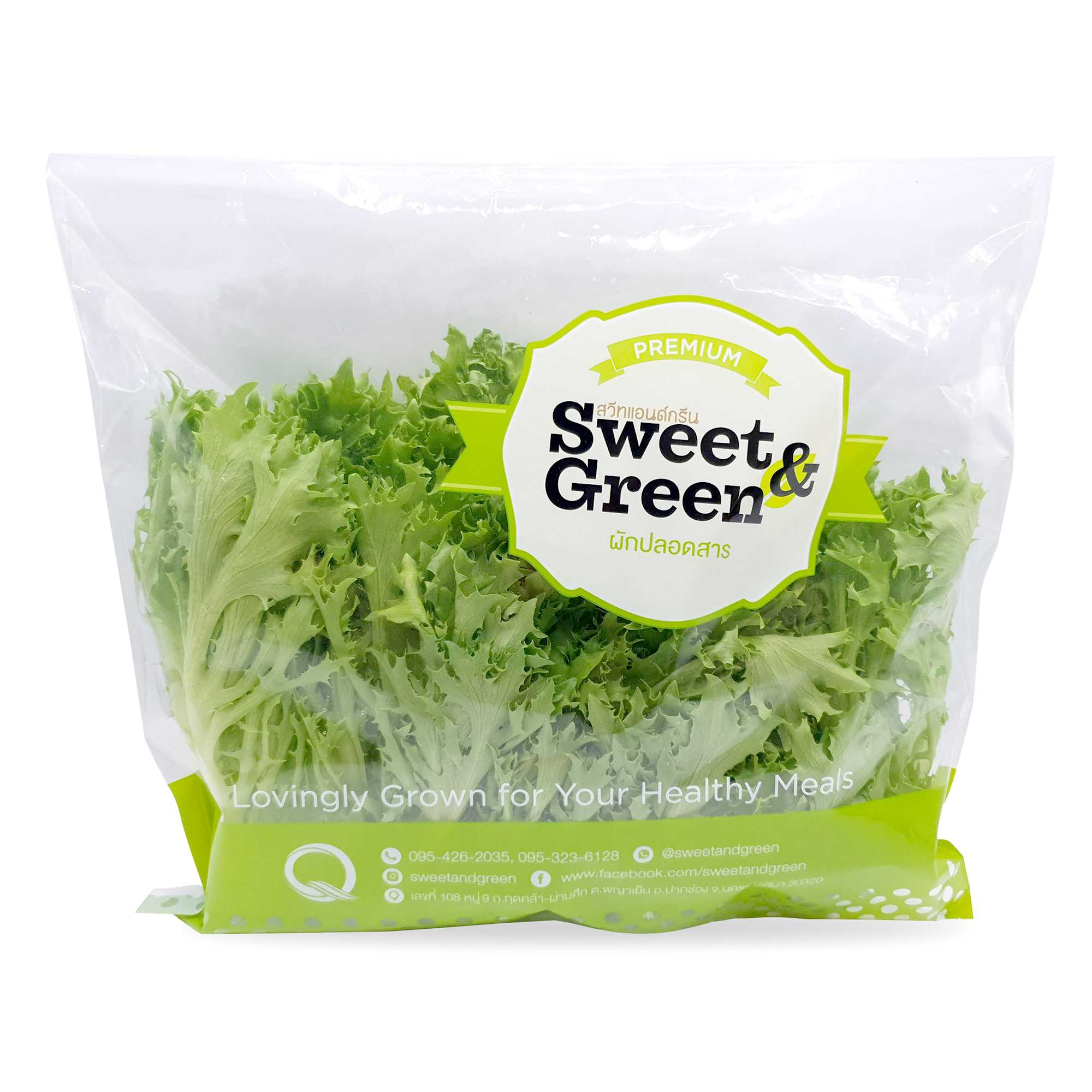 กรีนซาลาโนว่า (Green Salanova)