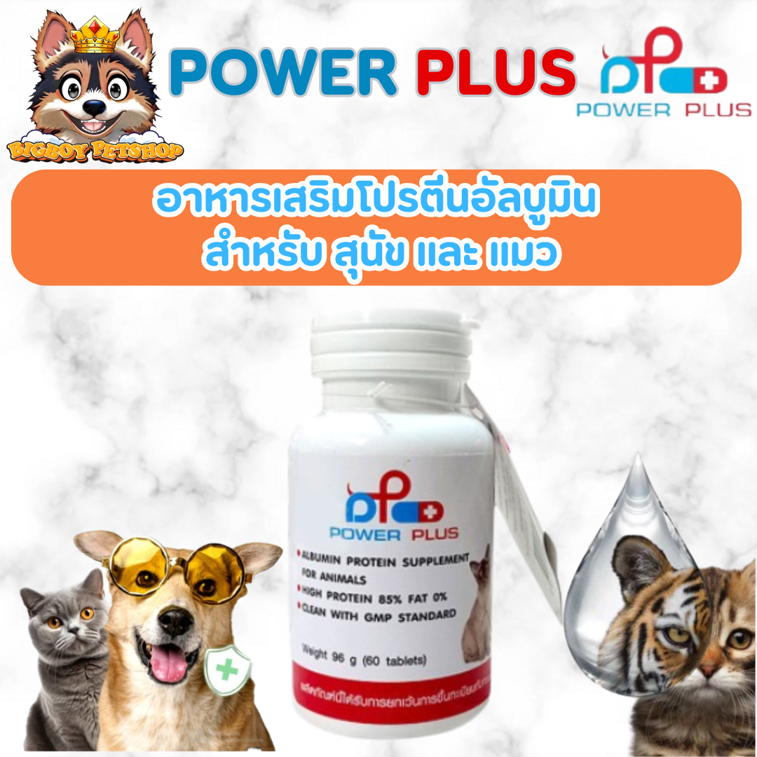 Power Plus: Pure Albumin [ของแท้] อาหารเสริมโปรตีนอัลบูมิน สกัดจากไข่ขาว แบบเม็ด สำหรับสุนัขและแมว