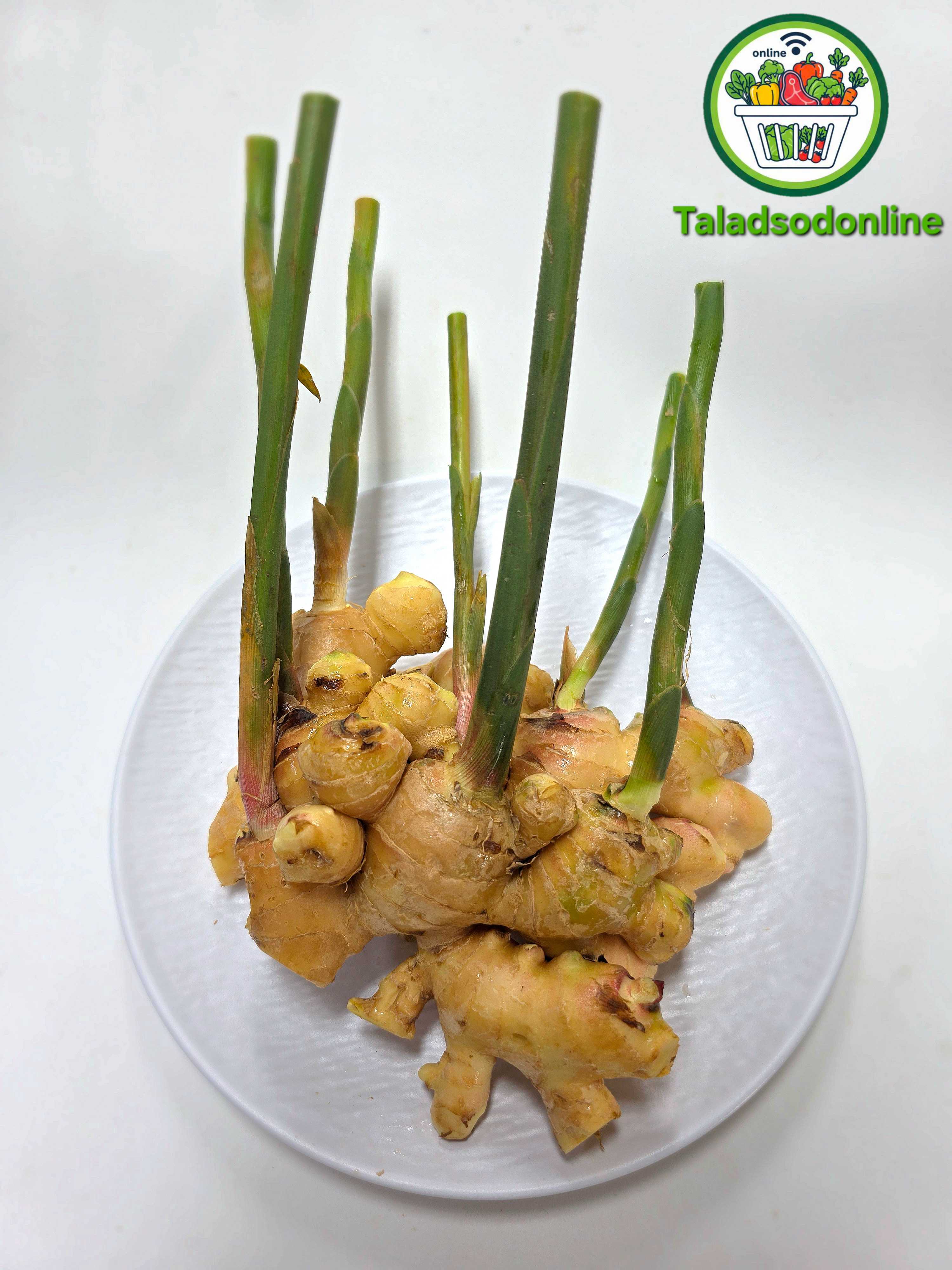 ขิงอ่อน สด สะอาด รับประกันคุณภาพ