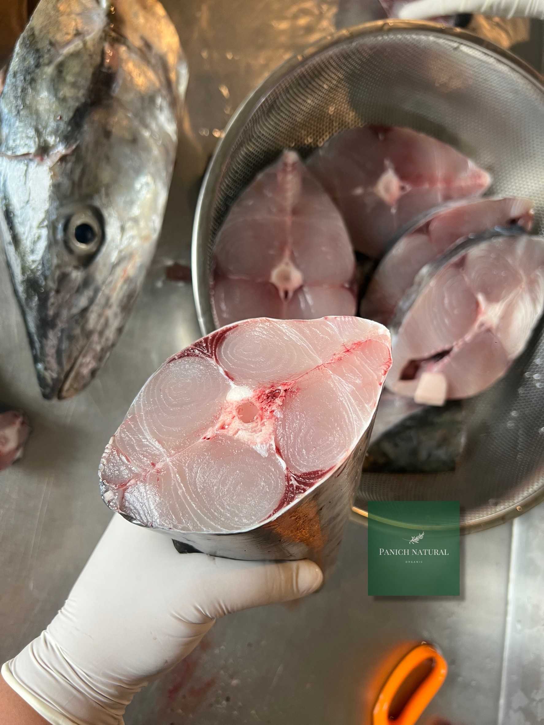 ปลาอินทรีสด หั่นแว่น ทะเลแท้