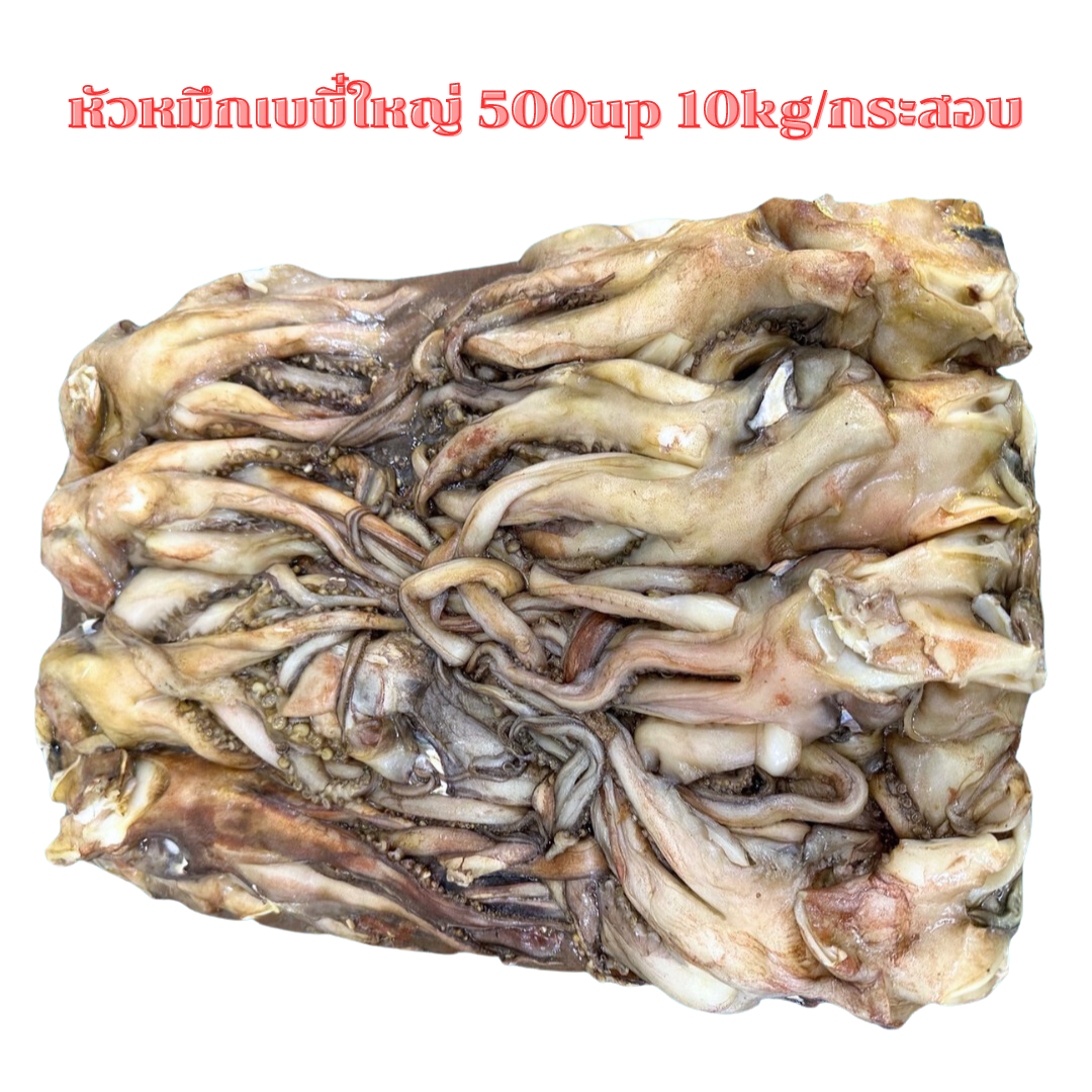 (เบบี๋) หัวหมึก 500up 10kg/ก้อน (ส่ง 2+ 1030 บาท)