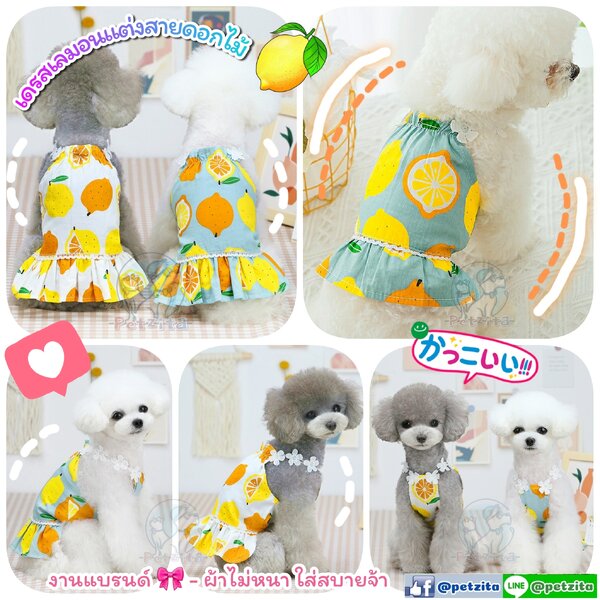 🇹🇭พร้อมส่ง🇹🇭 🍋 เดรสเลมอน - แต่งสายดอกไม้ 🌼💮 น่ารักสดใสมากจ้า ❤️ งานแบรนด์ - for pet สุนัข...