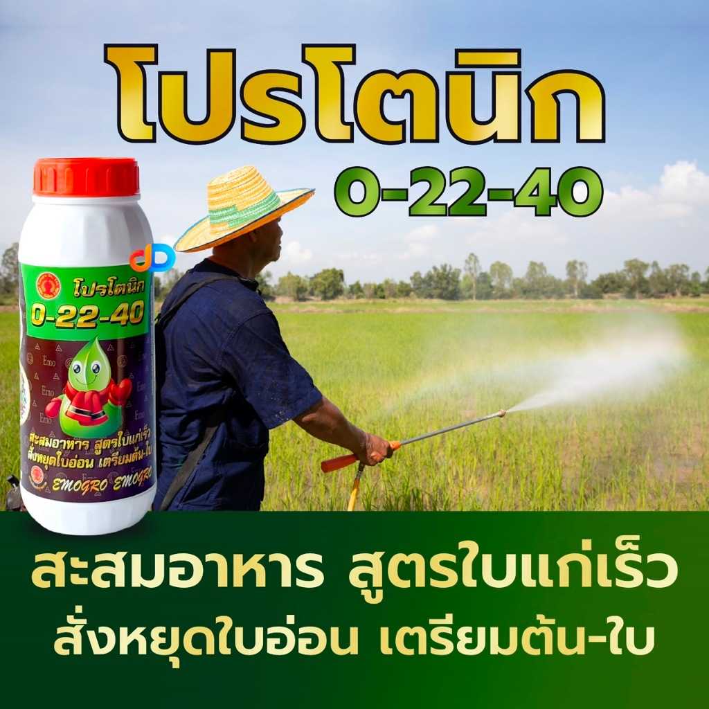 ปุ๋ยน้ำ 0-22-40 ขนาด 1 ลิตร สะสมอาหาร สูตรใบแก่เร็ว